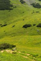 2015-07-04_2Sonnjoch (120).JPG